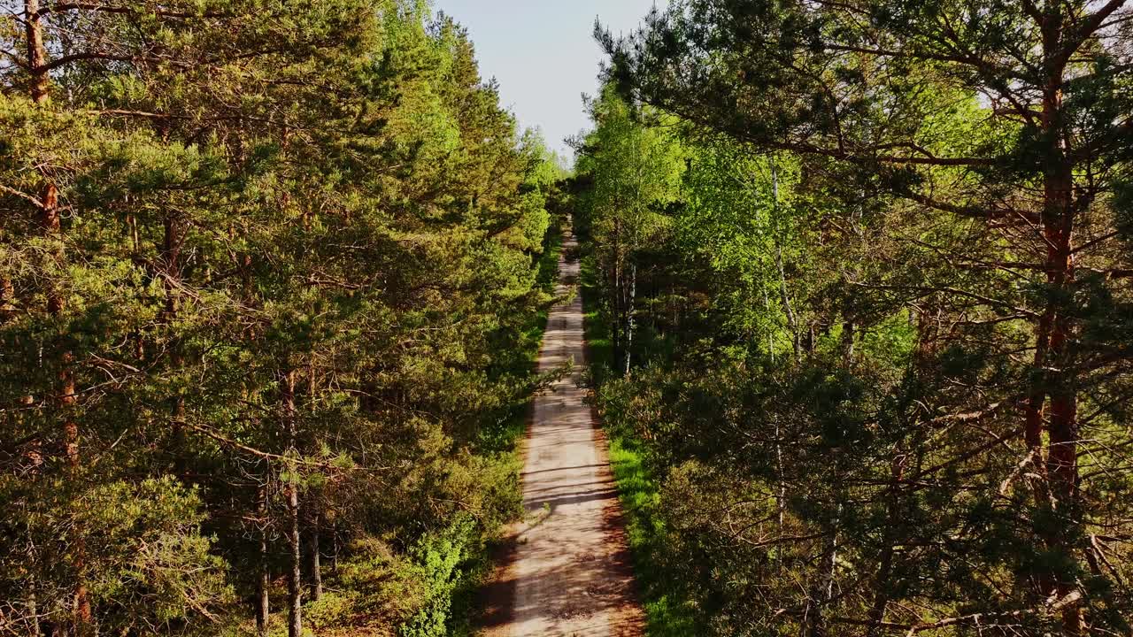 Cinematic drone flight backwards above Akacis bog forest, Latvia, morning light