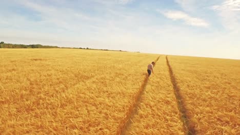 Aerial-view-of-farmer-walking-through-his-fields