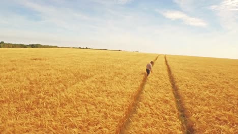 aerial view of farmer walking through his fields