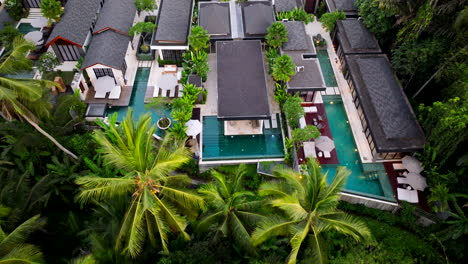 luxury and exotic villas with private swimming pools surrounded lush vegetation, indonesian style