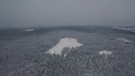 Luftaufnahme-Des-Gefrorenen-Berggipfels-Im-Tiefen-Wald