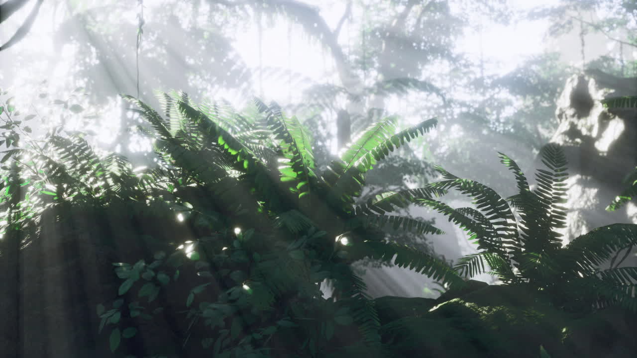 Mysterious sunlight filtering through lush tropical rainforest foliage
