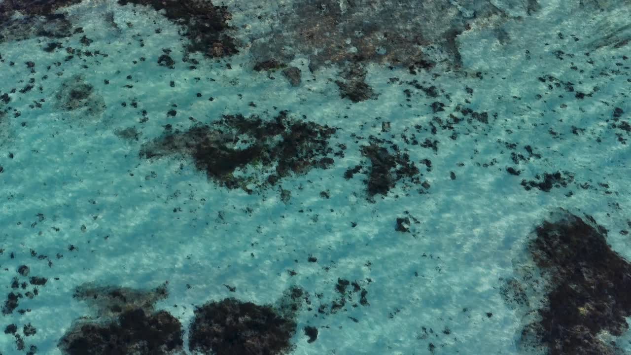Dronekamera glider hen over sandstrand, træmole og klart turkis vand med tangpletter