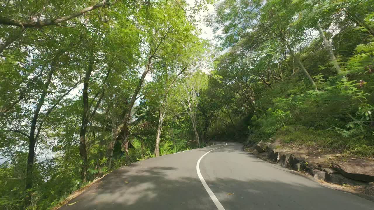 숲 과 울창 한 식물, 양쪽 도로 에 있는 바위 와 나무 들 사이 에 있는 놀라운 도로 를 운전 하는 것, mahe seychelles 4