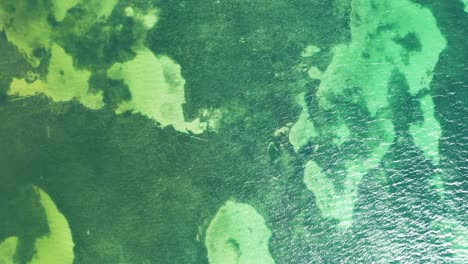 aerial view of clear shallow tropical ocean water with underwater reefs