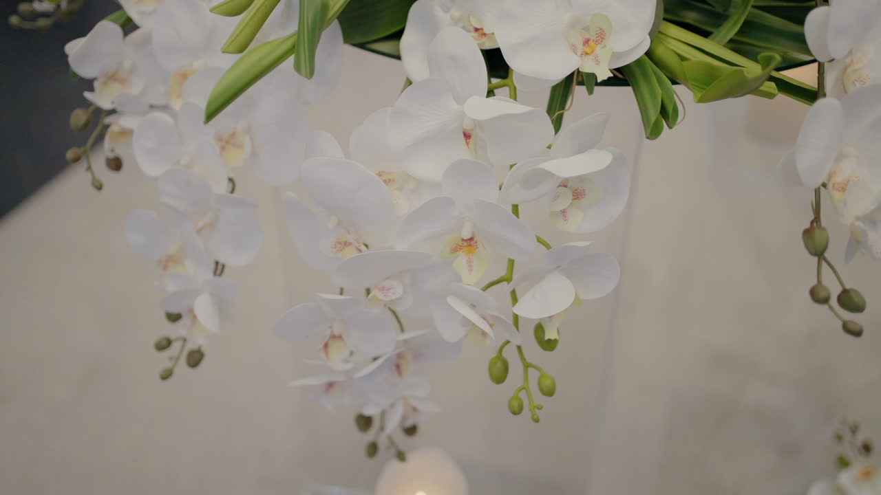 primer plano de orquídeas blancas con tallos verdes, arregladas hermosamente para una decoración de boda