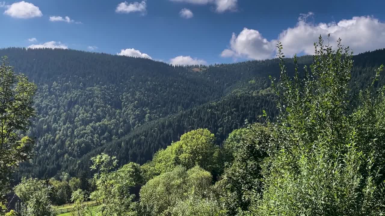 hermoso valle de montañas verdes en rumania