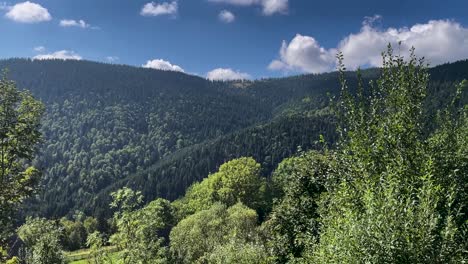 Beautiful-green-mountain-valley-in-Romania