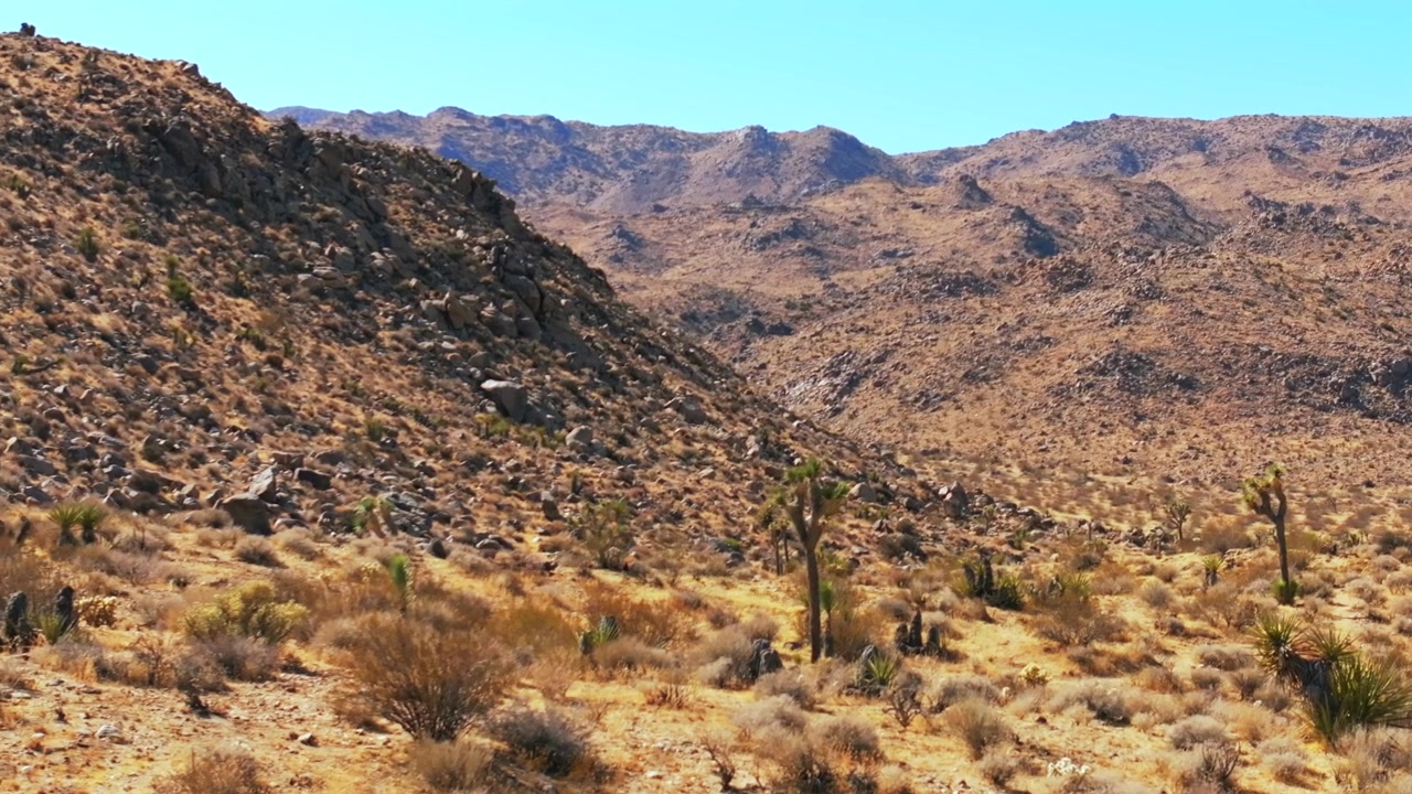 Parco Nazionale Joshua Tree, sentiero, California, drone aereo, alberi di yucca, deserto del Mojave e del Colorado, Oasi delle Quarantanove Palme, mattina, cielo blu, autunno, ottobre, novembre, formazione rocciosa, cactus, parallasse sinistra.