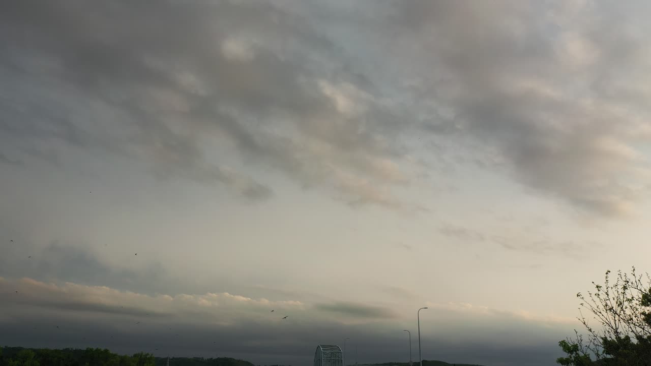 cielo nublado con pájaros