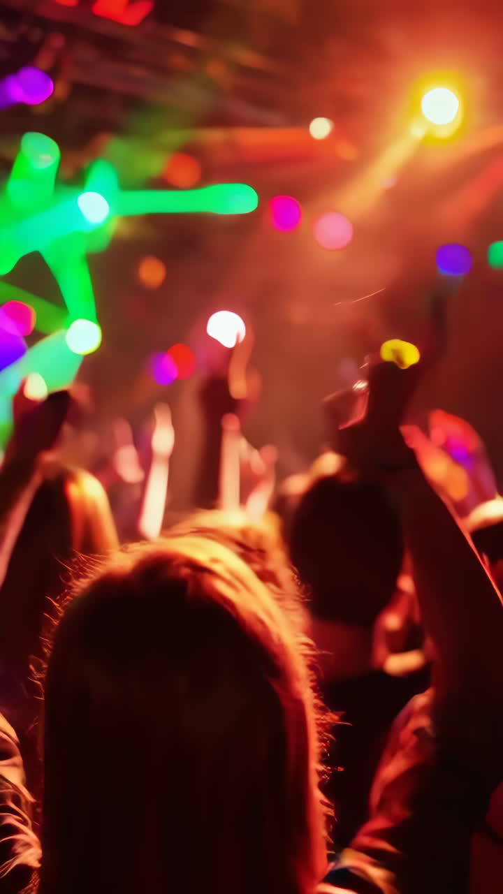 Crowd at a Nightclub or Concert