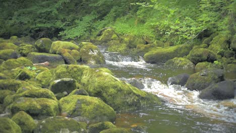 Claddagh-River-in-Donegal-Ireland-water-flowing-down-toward-camera-right