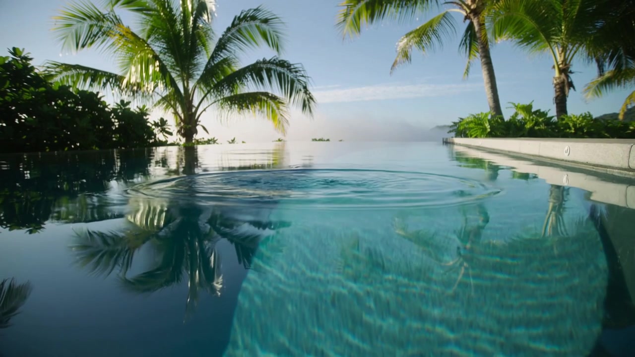 Spritzer vom Aufprall, Pooloberfläche sendet kreisförmige Wellen über Infinity-Pool, der Palmen reflektiert