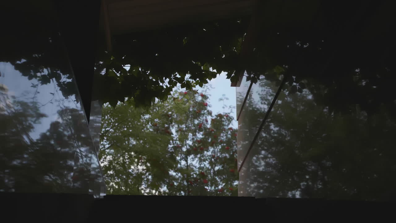 People Silhouettes Walking Outside