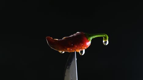 light reveals macro of a vibrant, fiery red bhut jolokia perched on the edge of a knife