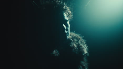 a creepy witch during the night storm