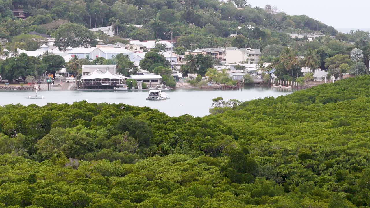 Aerial view of Port Douglas marina with boats, lush greenery, and town buildings under soft daylight