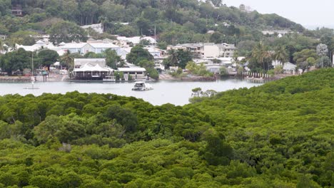 aerial view of port douglas marina with boats, lush greenery, and town buildings under soft daylight