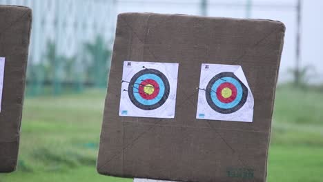 zoom-in shot of target in archery