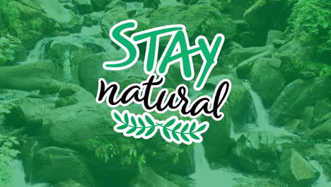 animation of stay natural text over rocks in forest