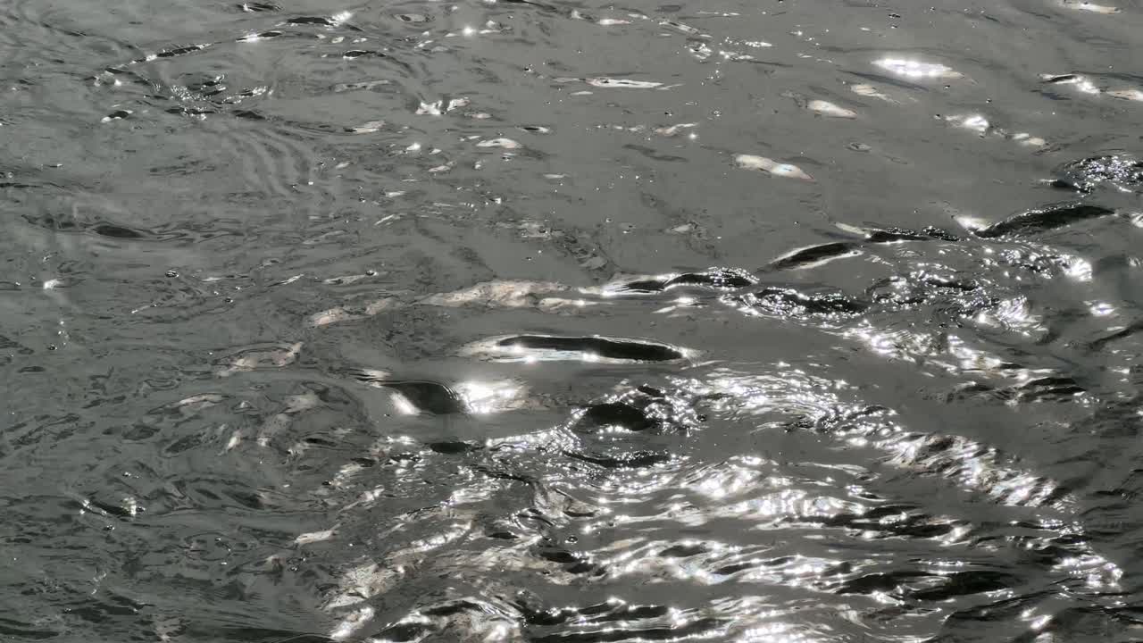 Sun shining on the water in a lagoon in Milnerton, near Cape Town, South Africa.