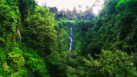 lush rainforest gorge leading to fiji waterfalls near lemukih, bali