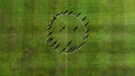 Players-practice-and-cast-shadows-on-soccer-field,-top-view-aerial