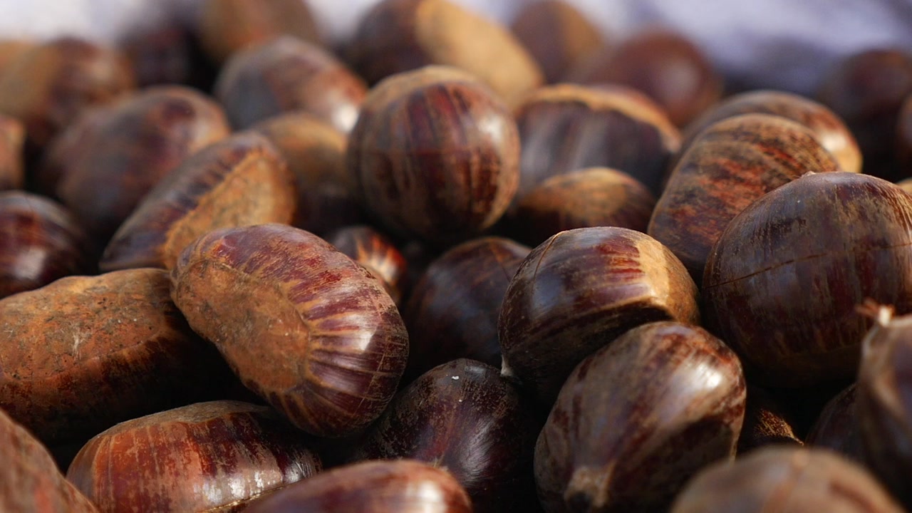 Close-up of Fresh Chestnuts Falling into a Pile