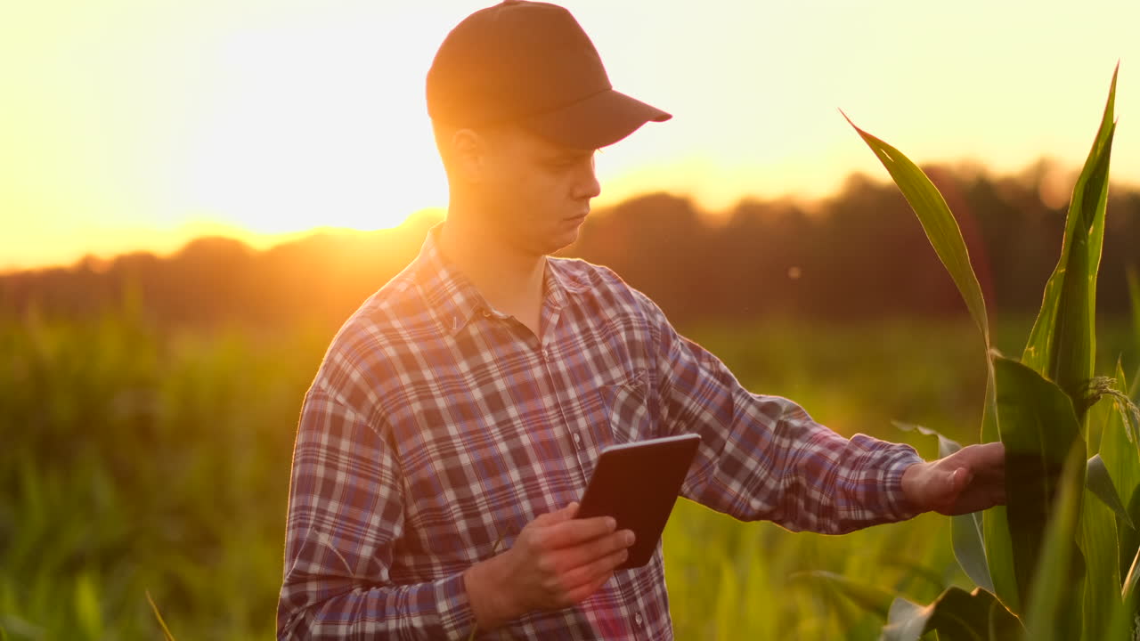el agricultor lee o analiza un informe en una computadora tablet sobre un campo agrícola con un tono vintage sobre un concepto de agricultura a la luz del sol.