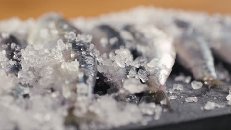 fresh sardines on ice