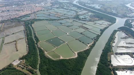 mai po nature reserve and wetlands, hong kong, aerial view