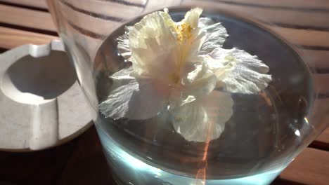 a relaxing image of a white hibiscus flower floating in water which can be used for spa, yoga, or meditation videos