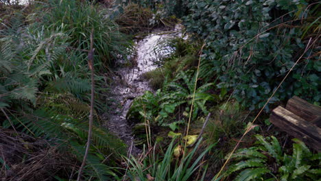 Pequeño-Río-Fluye-A-Través-De-Un-Parque