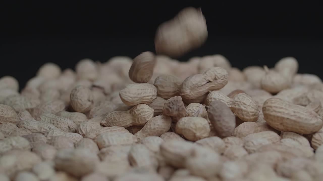 Peanuts Comes With The Added Bonus Of Healthful Nutrients. Peanut Falling In To The Ground