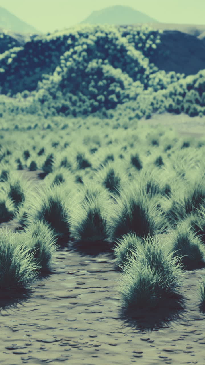 paisaje herboso pintoresco con montañas