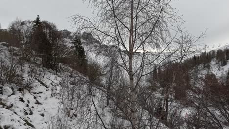 this is the first time i do snowboard and ski, i&#039;m scare sometimes to fall, but i have to do it to learn