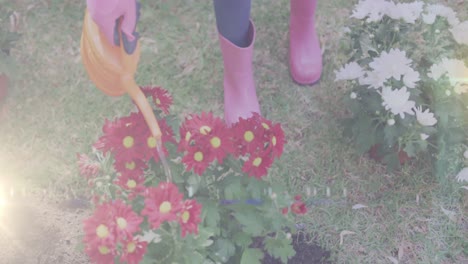 Animation-Von-Lichtflecken-über-Einem-Afroamerikanischen-Mädchen,-Das-Pflanzen-Im-Garten-Gießt