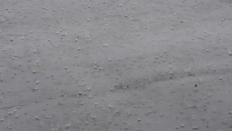 muchas gotas de lluvia salpicando en el pavimento durante un fuerte aguacero