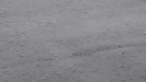 lots of raindrops splashing on the pavement during a heavy downpour