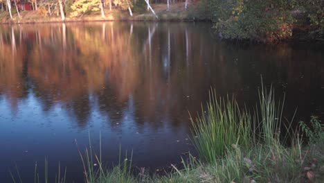 rain on the lake in autumn