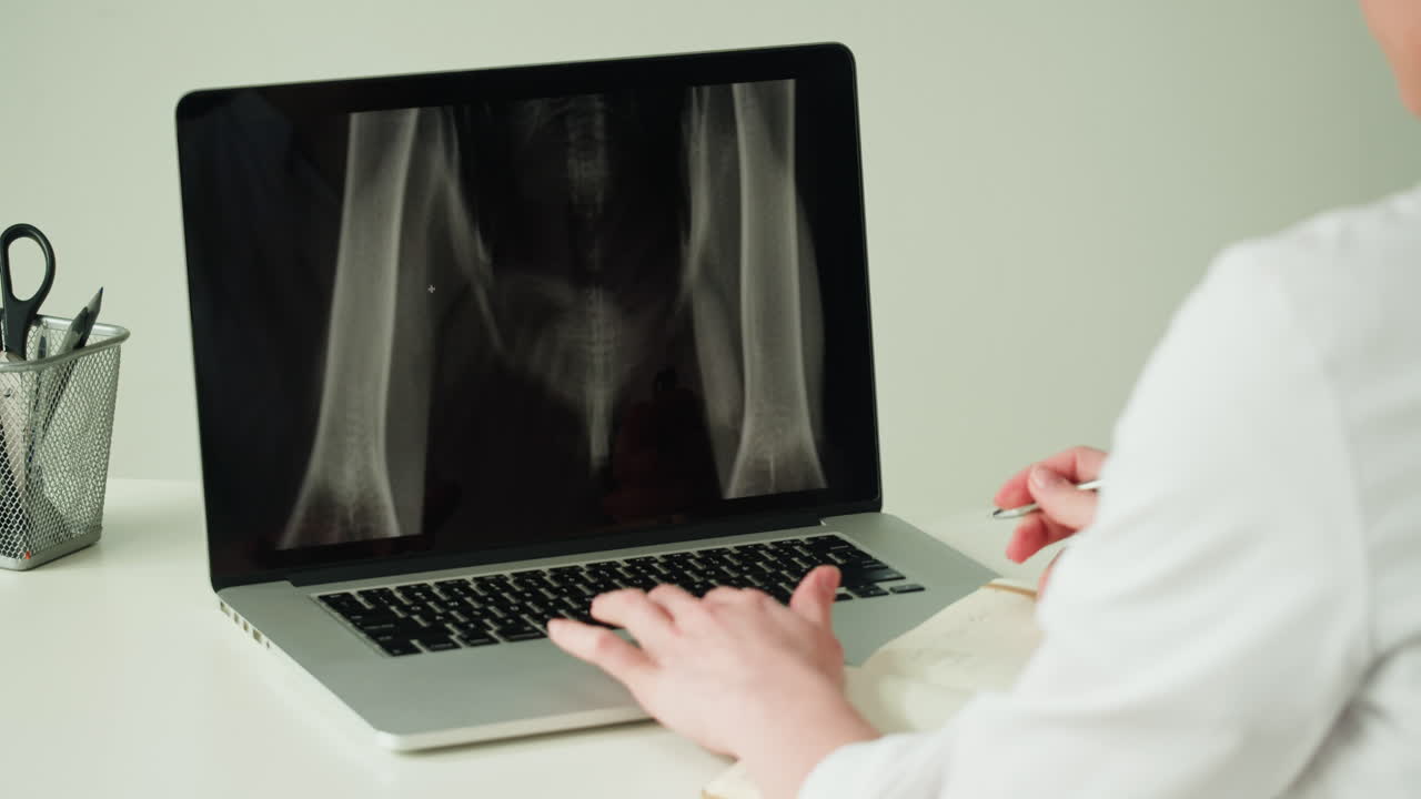 Veterinario che esamina la radiografia di un cane