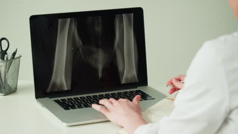 veterinarian reviewing dog x-ray