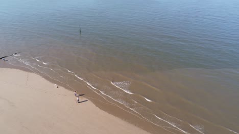 Touristen-Gehen-Hund-Am-Goldenen-Sonnigen-Sandstrand-Neben-Der-Luftaufnahme-Der-Meeresflut