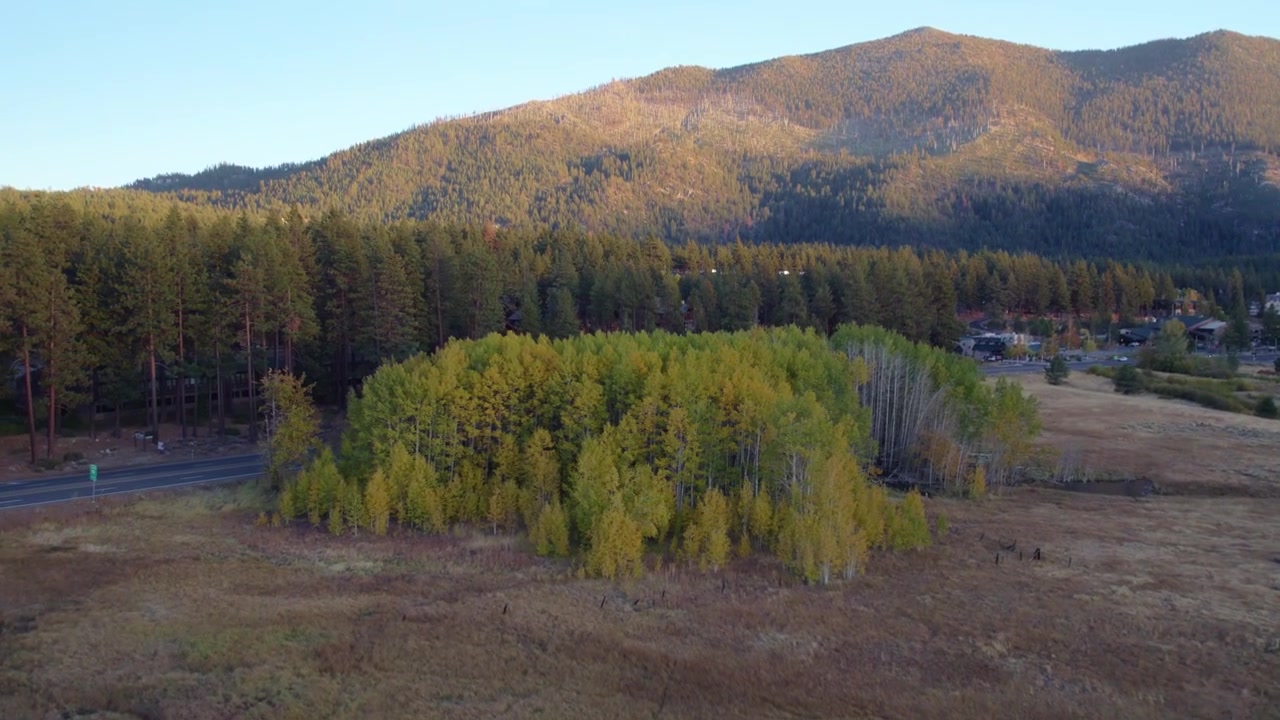Riprese aeree che catturano un gruppo di alberi autunnali colorati in un tranquillo paesaggio montano durante la luce dorata.