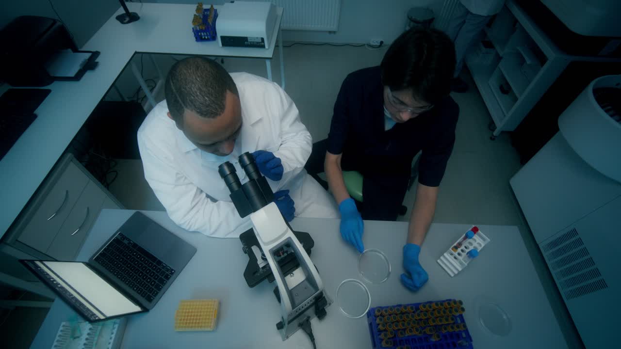 investigadores de laboratorio que trabajan con microscopio y muestras