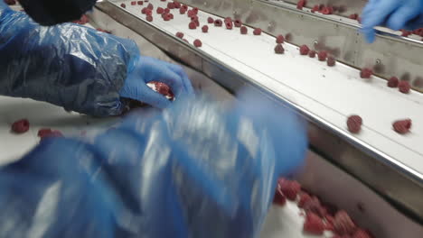 industrial processing of frozen raspberries