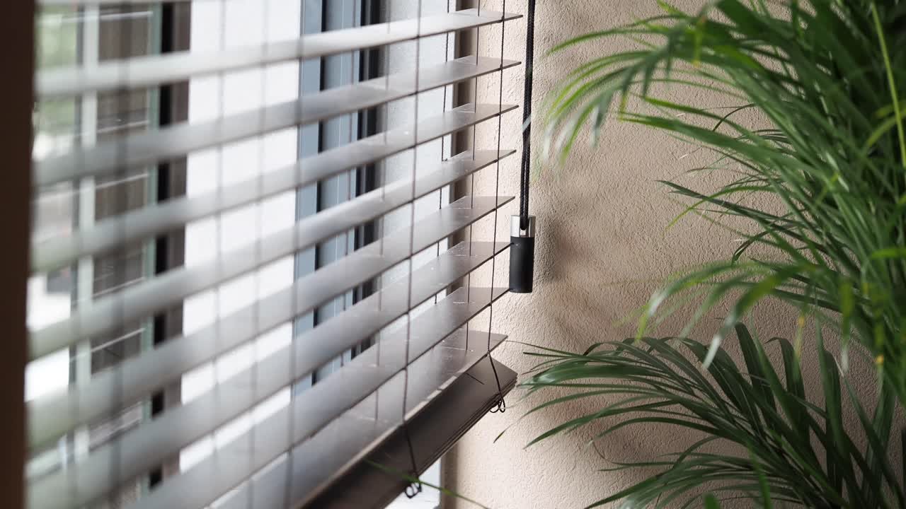 Interior con persianas y planta