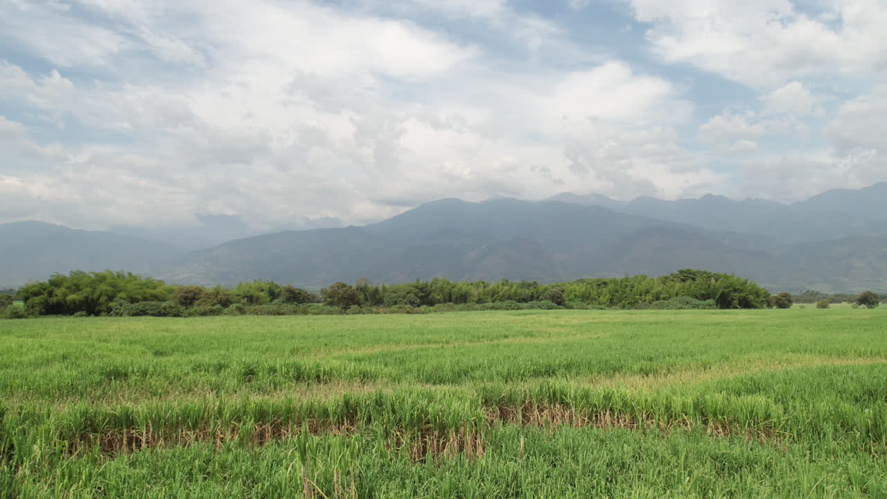 Aerial timelapse of a lush green field with clouds moving in the sky behind