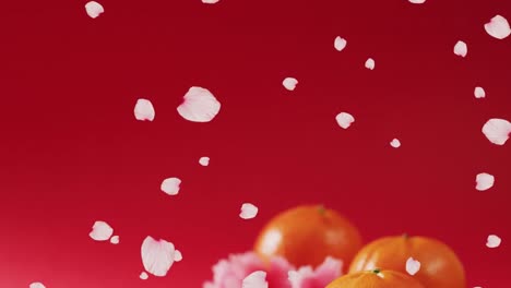 Animation-Traditioneller-Chinesischer-Dekorationen-Mit-Blütenblättern,-Die-Auf-Roten-Hintergrund-Fallen