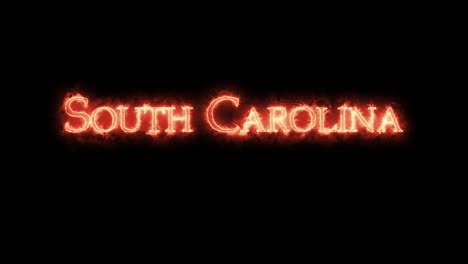 south carolina written with fire. loop